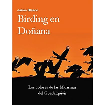 Birding en Doñana: Los colores de las Marismas del Guadalquivir Birding en Doñana: Los colores de las Marismas del Guadalquivir