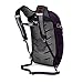 Osprey Daylite Plus Daypack (Prior Season)