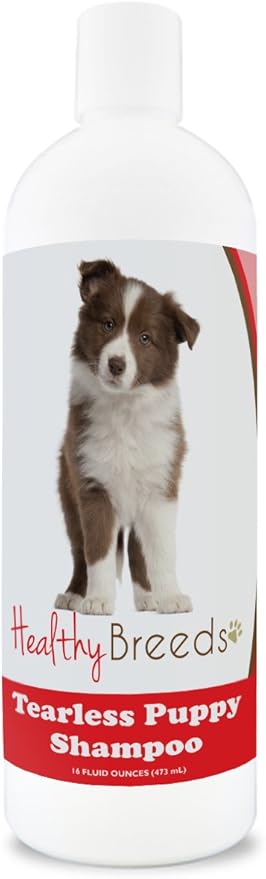 border collie shampoo