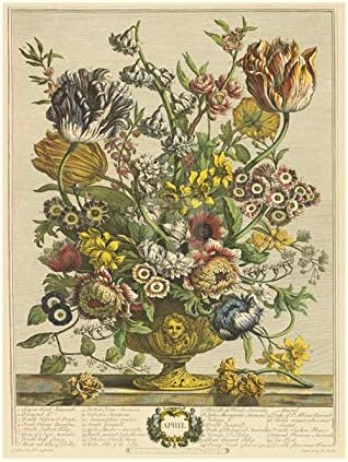 Robert FurberTwelve Months of Flowers 1730/April Art Print 15 x 20