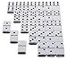 Games Dominoes Double 6, Tournament Size, Two Toned with Spinner (Center) Rivets, in Wooden case