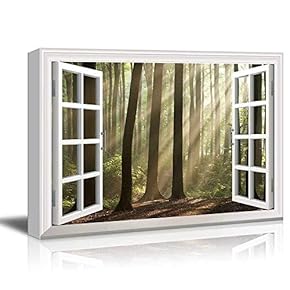 White Window Looking Out Into a Foggy Forest...