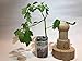 Biodegradable Plant Pot Maker for Seedlings - Nursery and Garden Seedling Starter - Biodegradable Starter Pots - Seed Germination Pots - Plant Propagation