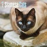 Siamese Cats - 2016 Calendar 12 x 12in