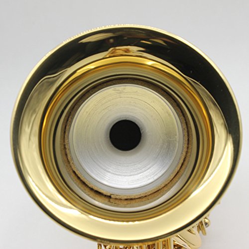image for SZBTF Professional Alto Saxophone Mute Sax Sound Metal Dampener, silve