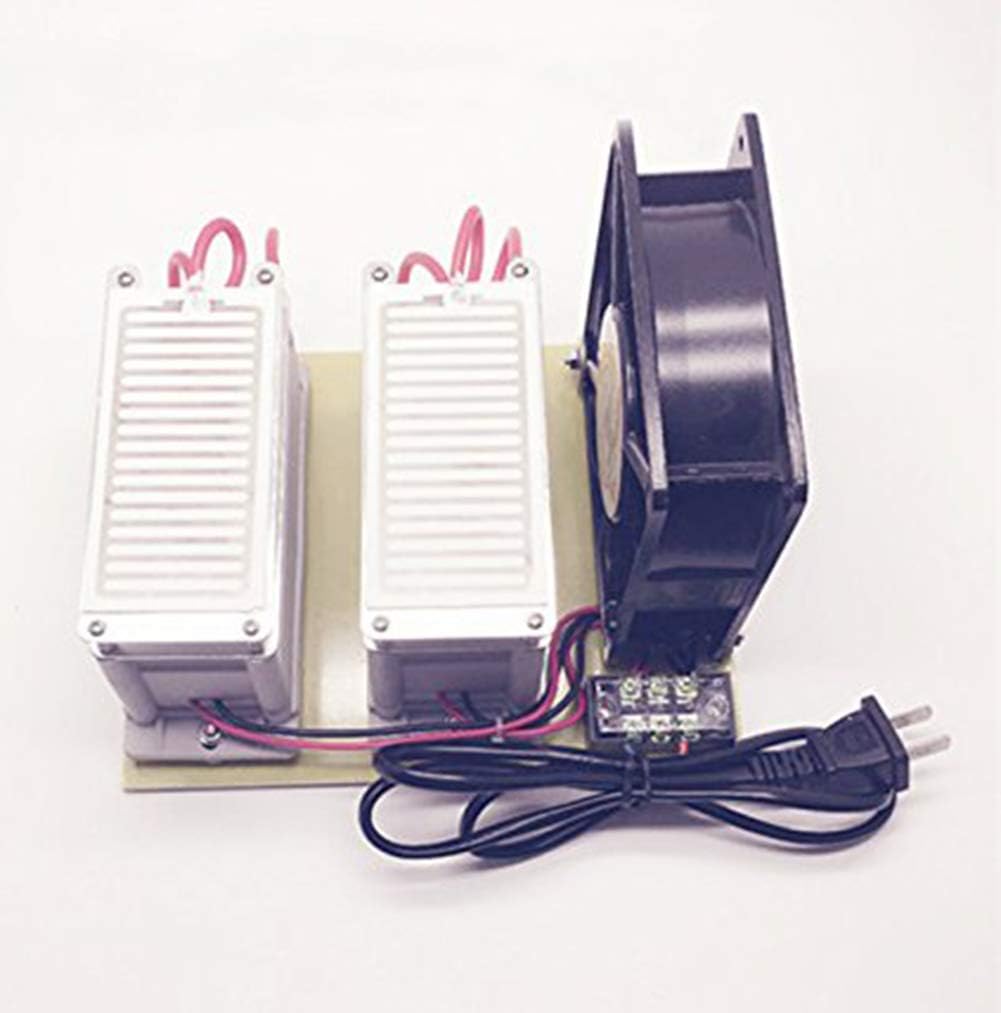TOPCHANCES 110V 20000mg/ h Ozone Generator (Long-Life) Ozone Disinfection Machine Purifier YN
