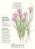 Common Chives Seeds - 1 gram - Heirloom