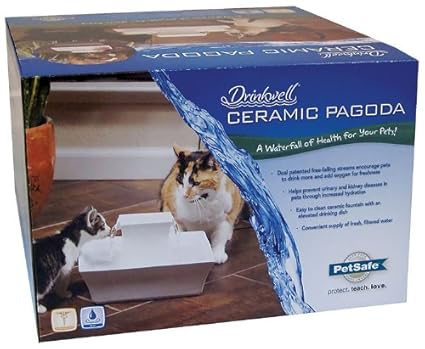 petsafe porcelain pagoda