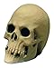 Rubies Costume Rubbr Skull-Foam Filled Costume
