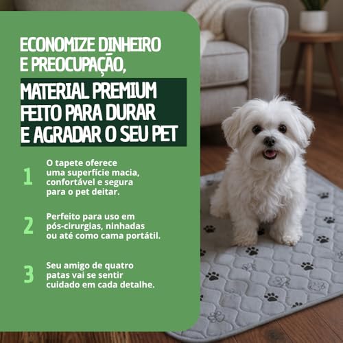 Tapete Higiênico Pet Reutilizável, Cerca de 1 ano de Uso, 2 Unidades | Lavável, 60cmx60cm, Raças de Porte Médio e Pequeno - Material de Qualidade -