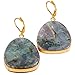 SUNYIK Natural Labradorite Lever-back Dangle Earrings