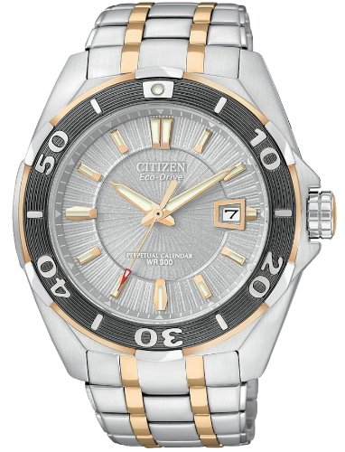 Citizen Signature Eco-Drive Perpetual Calendar Mens Watch - Grey