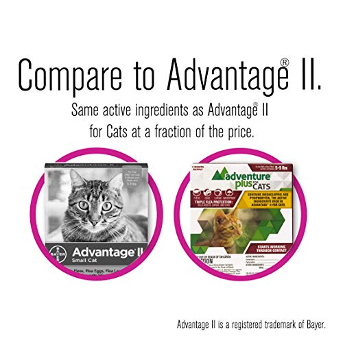 4 Adventure+Triple+Protection+Months+Doses