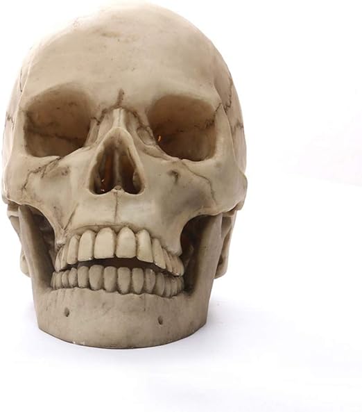 Amazon Com Yuqianjin Halloween Skull Decorations Resin Halloween Party Home Decor Halloween Trick Or Treat Party Decoration Home Kitchen