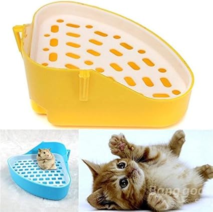 large cat bowls
