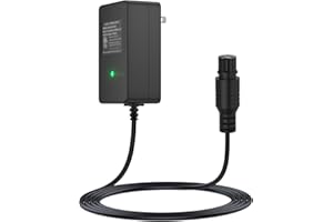 IBERLS for Razor MX350 Dirt Bike Charger Scooter, MX400 Dirt Rocket, E300, E200, E100, Dirt Quad, Pocket Mod, Moped, Motorcycle, Go Kart, 4 Wheeler, 24V Electric Battery Charger, 6.6FT