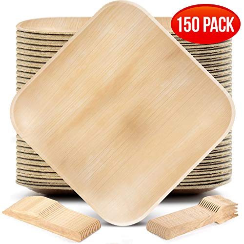 Palm Leaf Plates Party Pack (50 8