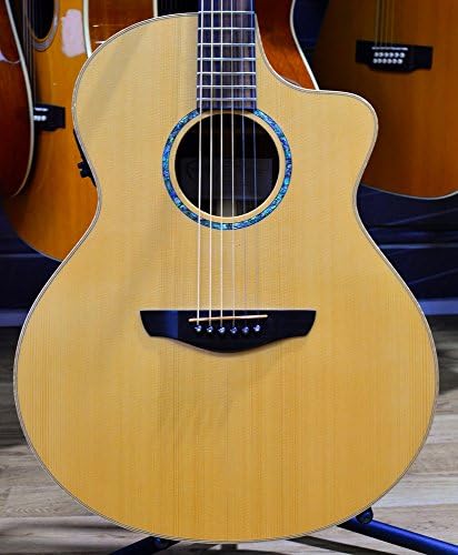 Faith Guitars FNCEHG Neptune Hi-Gloss Series Englemann Spruce/Rosewood Acoustic