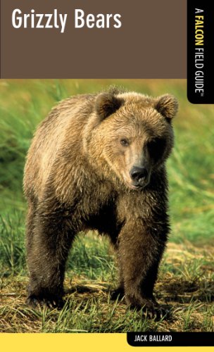 Grizzly Bears: A Falcon Field Guide (Falcon Field Guide Series)