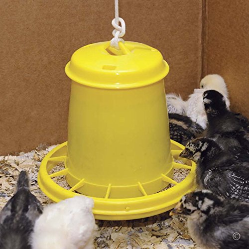 Saturn 3 Poultry Feeder - 3 lb