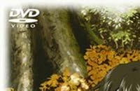 H2o Footprints In The Sand アニメnew 無料動画まとめ