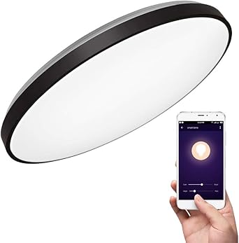 amazon echo diameter