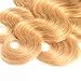 Finest Remy Grade 8A Ombre Brazilian Hair Body Wave 3 Tone Ombre Bundles Body Wave (14/16/18 Inch,1B/4/27), Ombre Body Wave 3 Bundles Body Wave