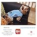 KYEESE Dog Shirt Soft Breathable Dog T-Shirt with Reflective Strip Safety for Night Walking Tank Top Vest Lightweight Cat Shirts