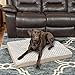 Furhaven Orthopedic Dog Bed for Large/Medium Dogs w/ Removable Washable Cover, For Dogs Up to 55 lbs - Ultra Plush Faux Fur & Suede Mattress - Cream, Large
