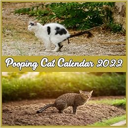 Cat Calendar 2022 Amazon