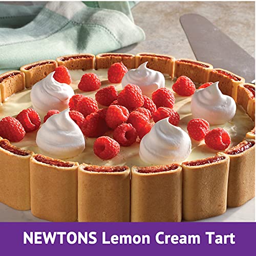 NEWTONS SOFT & FRUIT CHEWY STRAWBERRY COOKIES, (STRAWBERRY BARS), 10 OZ PACK