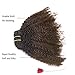 Anrosa Kinkys Curly Clip in Hair Extensions Human Hair 3C 4A Afro Kinky Curly Clip ins Natural Hair Real Remy Thick Human Hair Extensions for Black Women (14 inch, Ombre #1B/4)