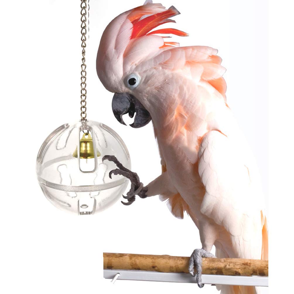 POPETPOP Parrot Foraging Ball Caged Hanging Bird Toys Bird Chew Toys Bird Feeder Plastic Parrot Feeder Cage Accessory Bird Toys for Cockatoo Mini Macaw Conure Cockatiel