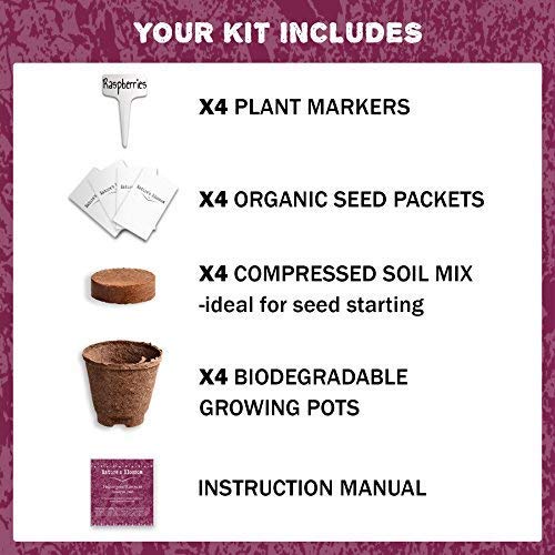 2 Natures+Blossom+Fruit+Growing+Beginners