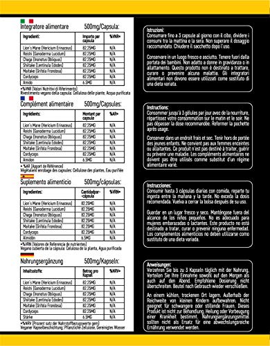 Suplemento de 6 Hongos – Reishi, Melena de León, Cordyceps, Chaga, Shitake y Maitake. 120 Cápsulas. 500mg Por Cápsula. Fórmula de Alta Resistencia para el Apoyo del Sistema Inmunológico y Bienestar