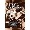 A Nation of Steel: The Making of Modern America, 1865-1925 (Johns Hopkins Studies in the History of Technology)