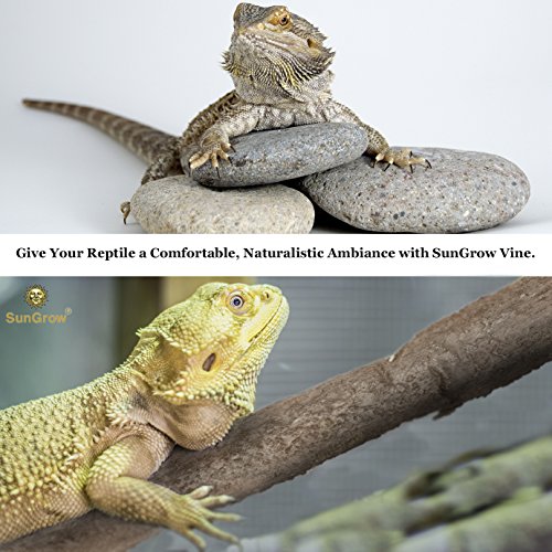 image for SunGrow 6 feet Animal Vine --- Twistable, Bendable Branch - Creates Na