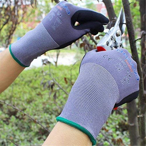 Assyrian Shielding - Outdoor Garden Protective Glove Wear Resistant Breathable Housekeeping Mechanical - Custodial Cautionary Guardian Covering Contraceptive Preservative