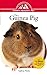 Guinea Pig: An Owner's Guide to a Happy Healthy Pet by Audrey Pavia