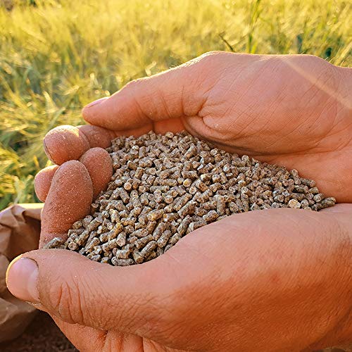 ChickenGold ProNatur-Hühnerkorn 10kg - Hühnerfutter Pellets - Bio Legekorn Biofutter - sojafrei – Bild 3