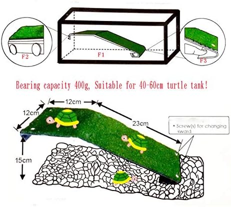 Amazon Com Plataforma Saim Turtle Basking Mascotas