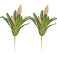 Shirfloral 2Pcs Tropical Bromeliad Artificial Plant Faux Succulents Stems Indoor Outdoor Realistic Home Decor Plants for Office Housewarming