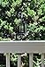 Railhookz 30 Inch Clamp on Deck Rail or Fence Hanger