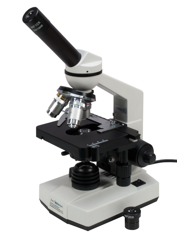 Microscope 