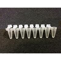 0 2ml Clear Pp Axygen Pcr 08 Cp C Thin Wall 8 Strip Pcr Tube Strips With Domed Clear Strip Caps 1 Case Tubes And Caps 8 Each Strip 125 Strips Unit 10 Units Case Svcst Org