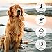 GoPetee Dog Bark Collar, Anti Barking Collar No Bark Control Training Collar with Beeps and Vibration - Safe Waterproof No Shock Stop Barking Collar Device for Small Medium Large Dogs