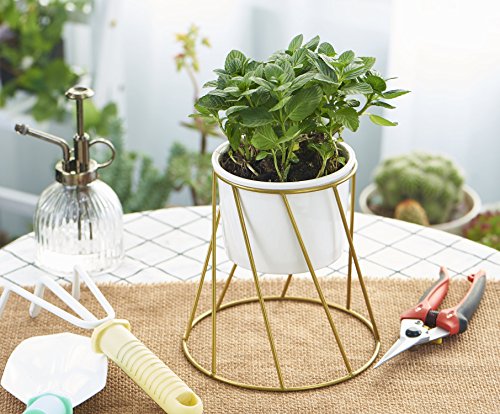 Planter Pot Indoor, Flowerplus 4.33 Inch White Ceramic Medium Succulent Cactus Flower Plant Round Bowl with Iron Rack Holder and Plants Sign for Indoors Outdoor Home Garden Kitchen Decor (Golden)