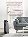VIPEX Space Heater, VIPEX 1500W Electric Heater Portable Small Space Heaters for Office Home Room Indoor Use, Adjustable Temperature with Remote Control, Built-in Timer and Oscillation Setting