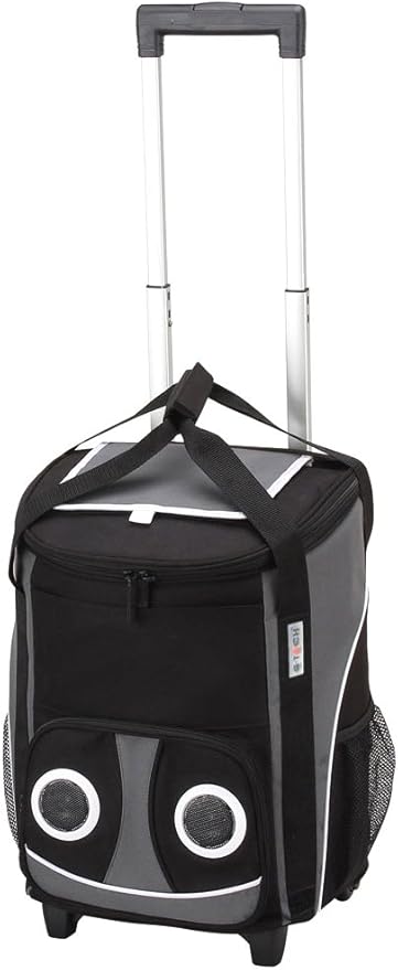 insulated bags dollar tree