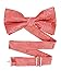 Men's Paisley Pre-Tied Bow Tie - Coral